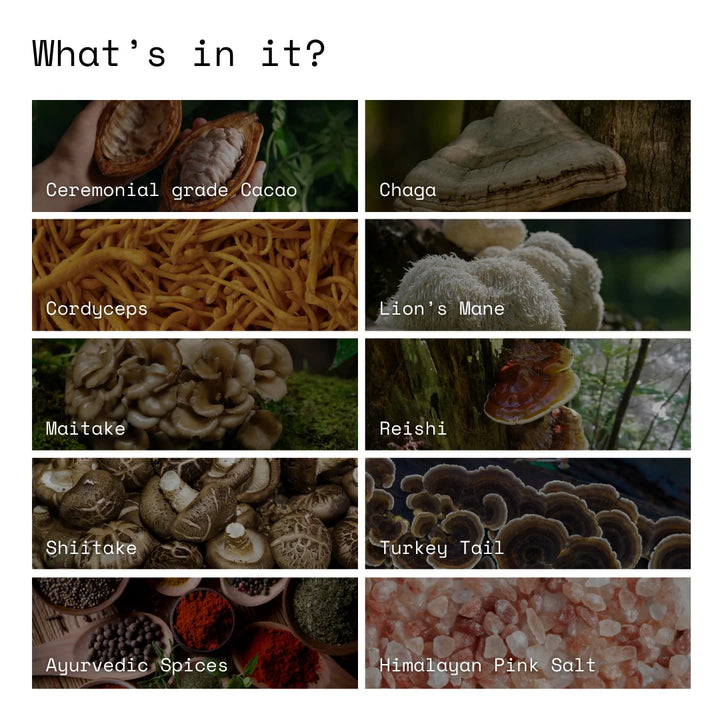 What's in it? Cacao. Chaga. Cordyceps. Lion's Mane. Maitake. Reishi. Shiitake. Turkey Tail. Spices. Pink Salt.