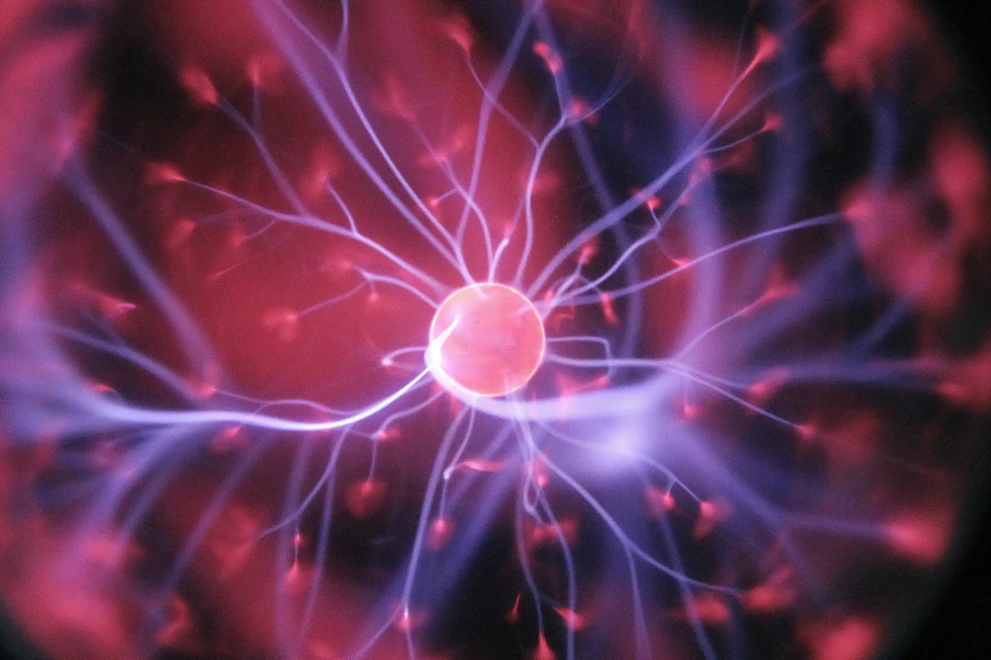 Neurons firing off in inside a brain