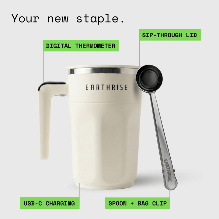 The Accessories Bundle