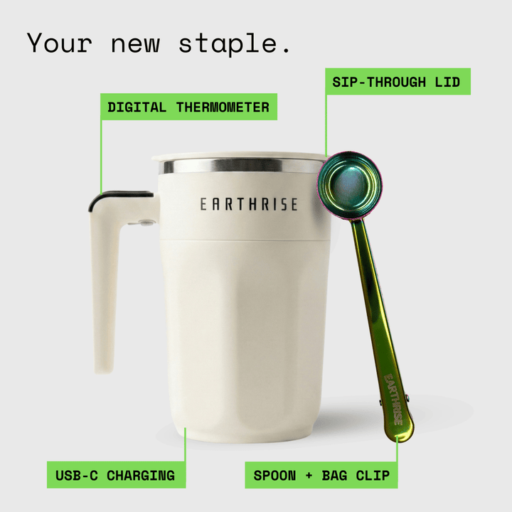 The Accessories Bundle