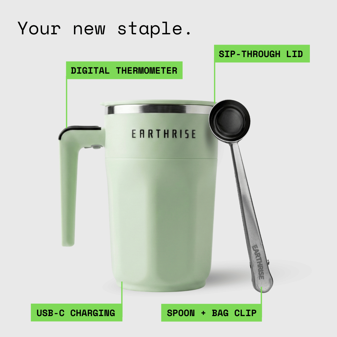 The Accessories Bundle