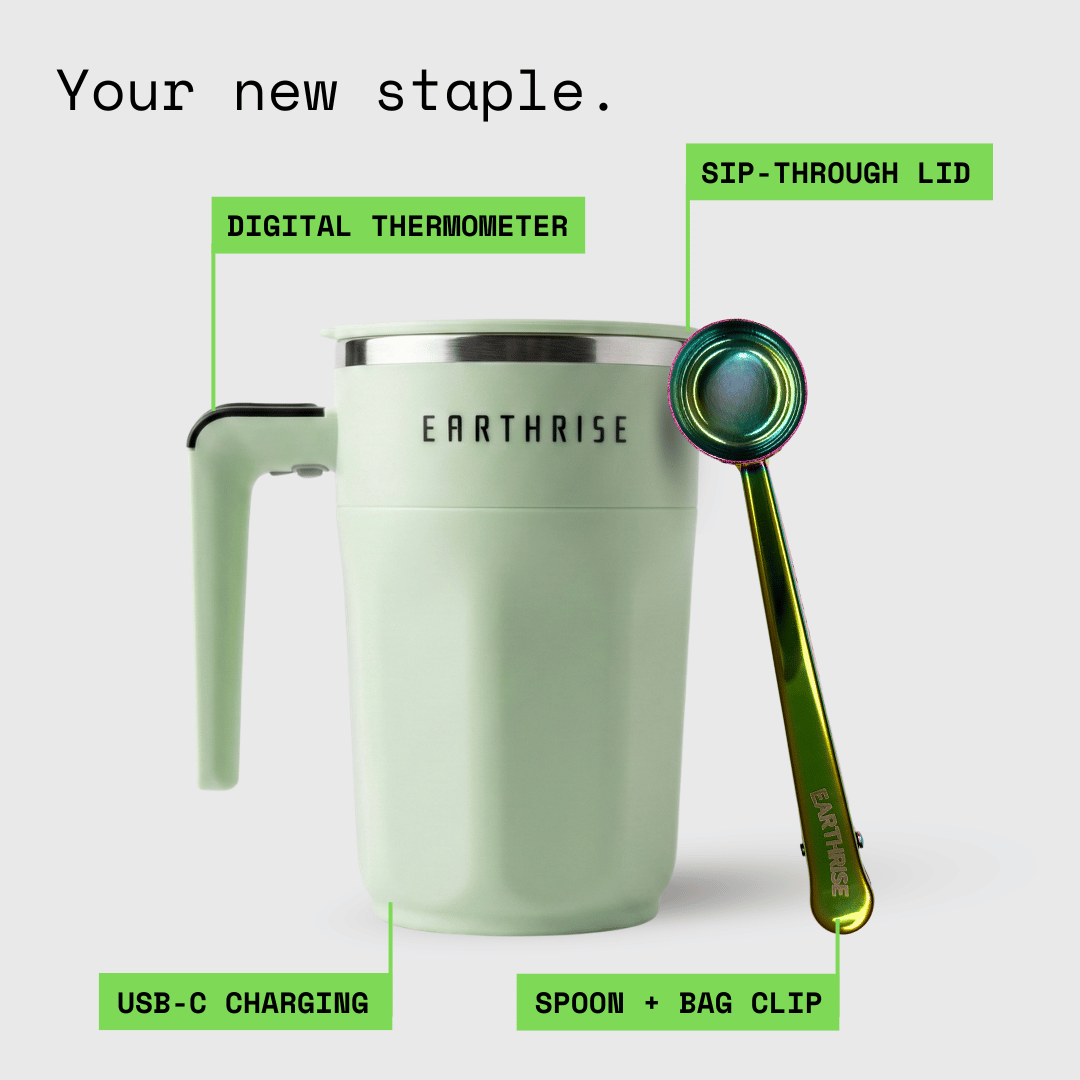 The Accessories Bundle