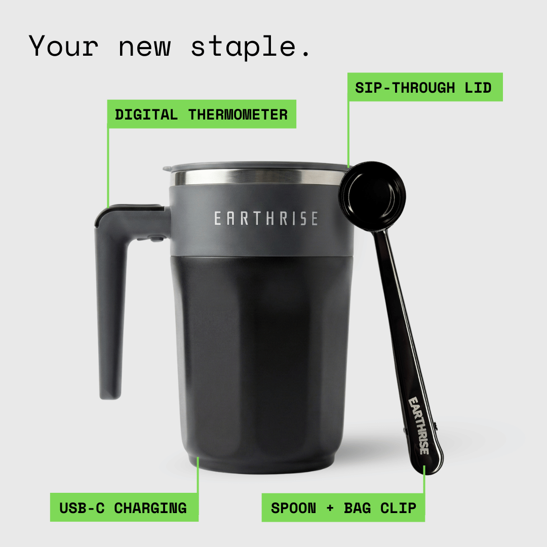 The Accessories Bundle