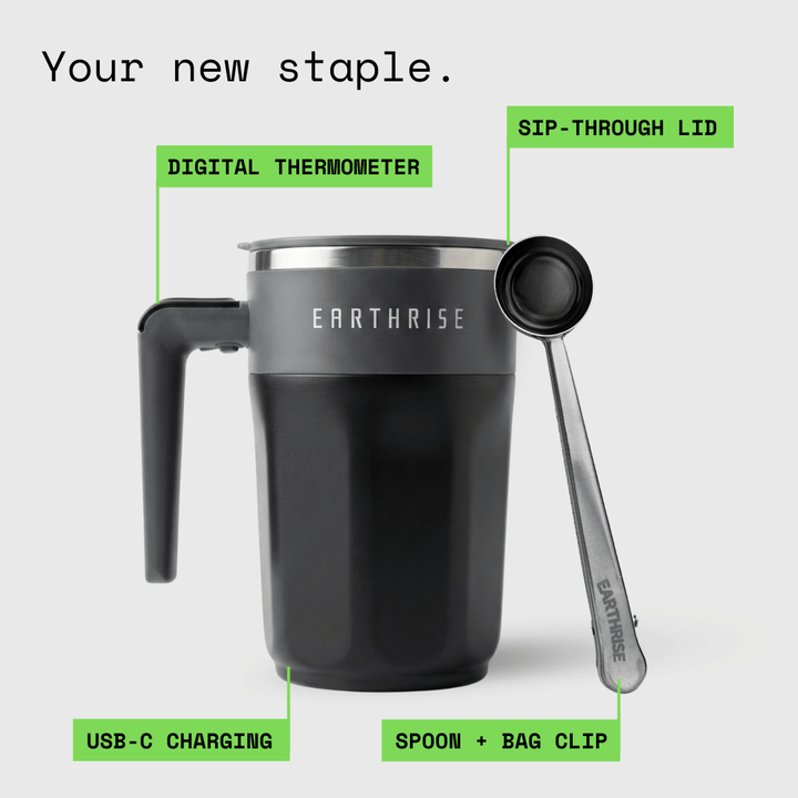 The Accessories Bundle