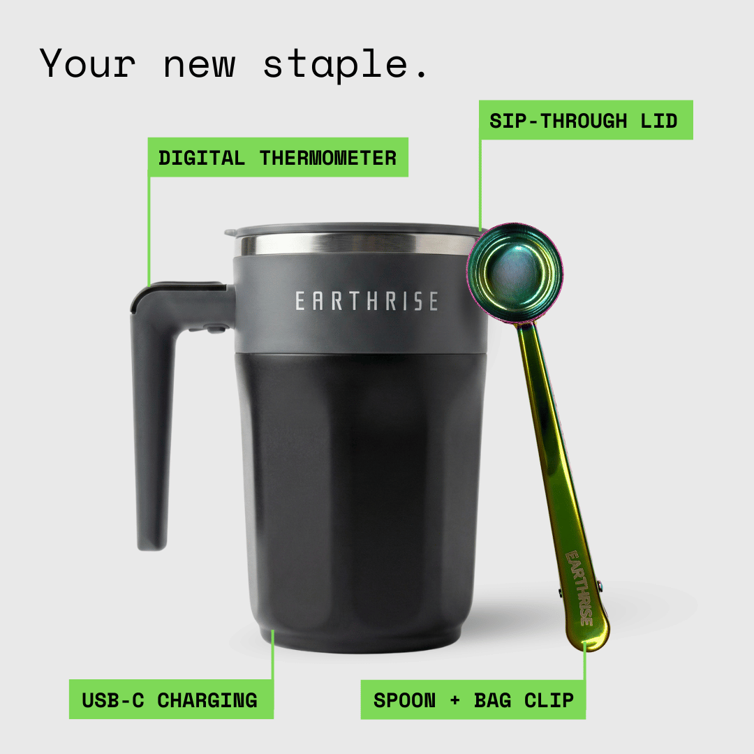 The Accessories Bundle