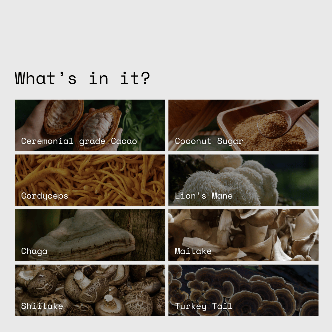 Ingredients include cacao, coconut sugar, cordyceps, lion's mane, chaga, maitake, shiitake and turkey tail.